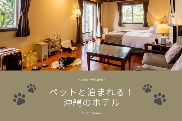 沖縄　ペット　可　ホテル