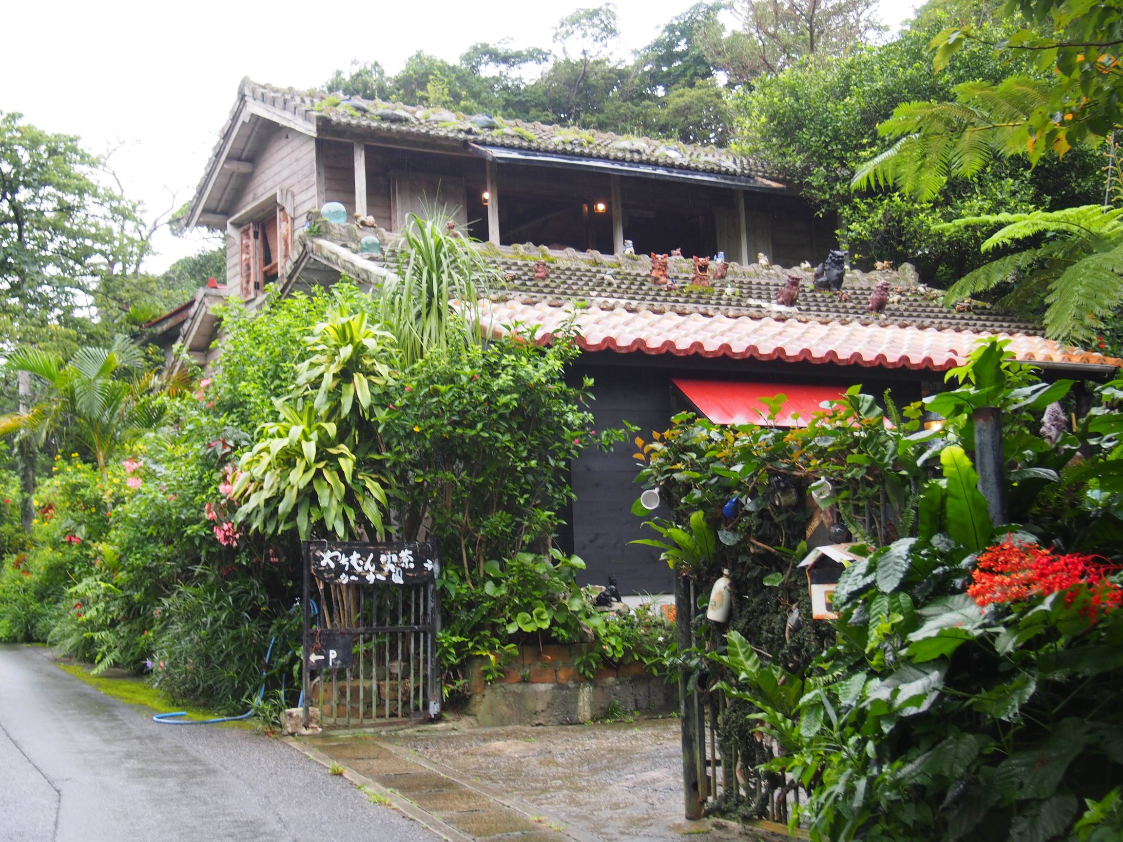 やんばるシーサー( 大 ) 【公式通販】