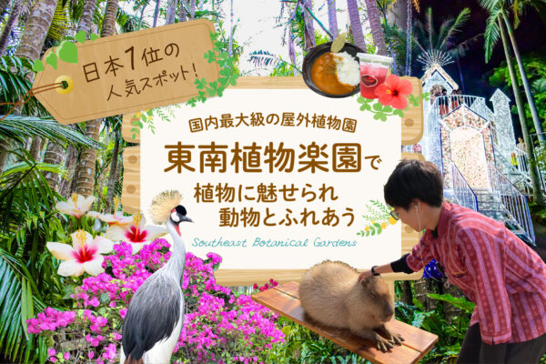 日本１位の人気スポット！国内最大級の屋外植物園「東南植物楽園」で植物に魅せられ動物とふれあう