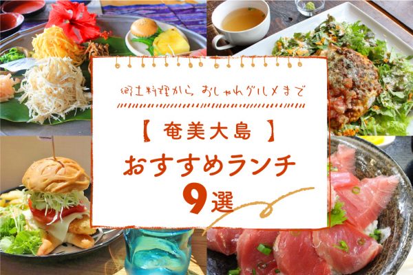 【奄美大島】おすすめランチ９選｜郷土料理からおしゃれグルメまで